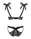 Полупрозрачный эротический комплект Obsessive Obsessivia 2pcs set black L/XL, бюстгальтер и трусики SO7298 фото 6