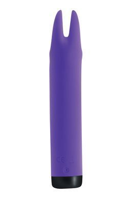 Вибратор S Pleasures Bullets Amethyst, фиолетовый, с двумя отростками, 10 режимов, диаметр 2,8 см SX1604 фото
